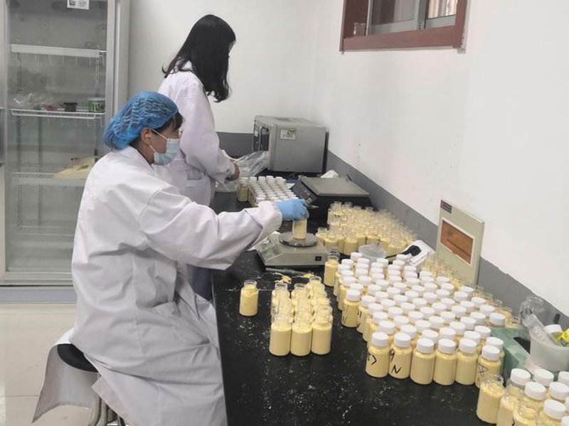 关注粮食安全:地方储备粮动态探析