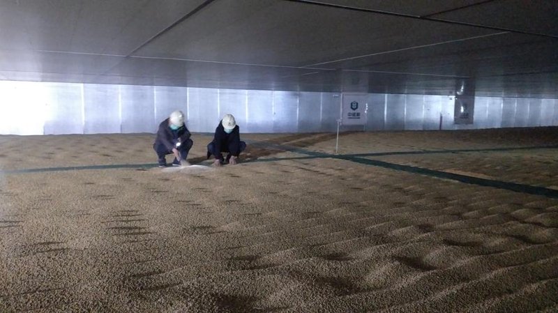粮食仓储：守护舌尖上的安全与未来