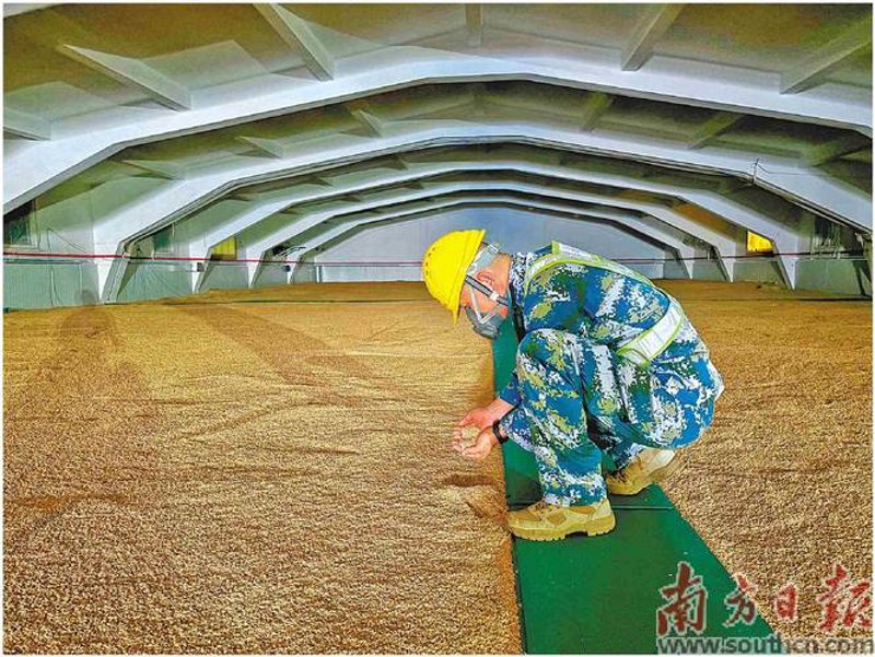 泰兴粮食储备库:守护舌尖上的安全